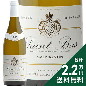 s2.2~ȏőtT u \[Bj 2019 C  Saint Bris Sauvignon Louis Merle C tX uS[j Vu h AtBj[