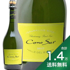 《1.4万円以上で送料無料》コノスル スパークリングワイン ブリュット NV Cono Sur Sparkling Wine Brut スパークリング チリ