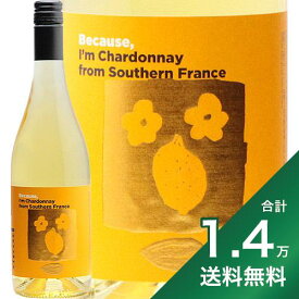 《1万4千円以上で送料無料》南フランス シャルドネ ビコーズ Southern France Chardonnay Because 白ワイン フランス フィラディス