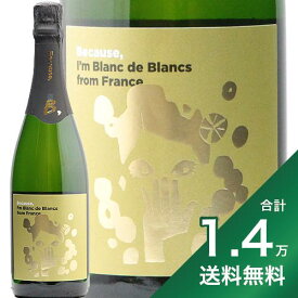 《1万4千円以上で送料無料》フランス ブラン ド ブラン NV ビコーズ France Blanc de Blancs Because スパークリングワイン フィラディス