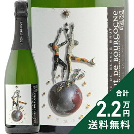 《2.2万円以上で送料無料》 クレマン ド ブルゴーニュ ブラン ド ブラン NV ルー デュモン Cremant de Bourgogne Blanc de Blanc Lou Dumont スパークリングワイン フランス ブルゴーニュ 天地人 仲田晃司