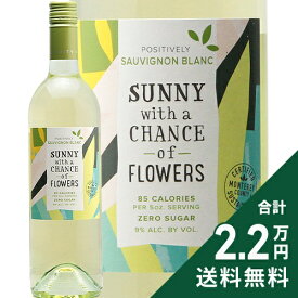 《2.2万円以上で送料無料》 サニー ヴィズ ア チャンス オブ フラワーズ ソーヴィニヨン ブラン 2023 Sunny with a Chance of Flowers Sauvignon Blanc 白ワイン アメリカ カリフォルニア
