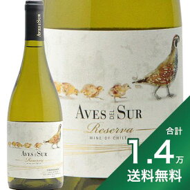 《1.4万円以上で送料無料》 デルスール シャルドネ レゼルバ 2021 Aves del Sur Chardonnay Reserva 白ワイン チリ