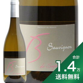 《1.4万円以上で送料無料》 ヴァン ド フランス ソーヴィニヨン 2022 ソフィー ベルタン Vin de France Sauvignon Sophie Bertin 白ワイン フランス ロワール