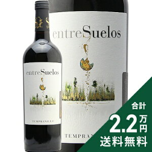 �s2.2���~�ȏ�ő��������t �G���g���X�G���X �e���v���j�[���� 2021 �{�f�K�X �g���f���e Entresuelos Tempranillo Bodegas Tridente �ԃ��C�� �X�y�C�� �G���g�D���X�G��
