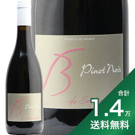 《1.4万円以上で送料無料》 ヴァン ド フランス ピノ ノワール 2022 ソフィー ベルタン Vin de France Pinot Noir Sophie Bertin 赤ワイン フランス ロワール