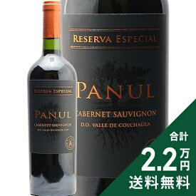 《2.2万円以上で送料無料》 パヌール カベルネ ソーヴィニヨン グラン レゼルバ 2023 ビニェードス エラスリス オバリェ Panul Cabernet Sauvignon Gran Reserva Vinedos Errazuriz Ovalle S.A. 赤ワイン チリ