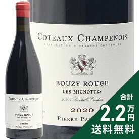 コトー シャンプノワ ミニョット ブジー ルージュ 2020 ピエール パイヤール Coteaux Champenois Mignottes Bouzy Rouge Pierre Paillard 赤ワイン フランス シャンパーニュ 《2.2万円以上で送料無料※例外地域あり》