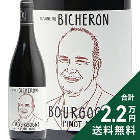 《2.2万円以上で送料無料》 ブルゴーニュ ピノ ノワール 2022 or 2023 ドメーヌ デュ ビシュロン Bourgogne Pinot Noir Domaine du Bicheron 赤ワイン フランス ブルゴーニュ