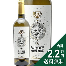 《2.2万円以上で送料無料》 ブドゥレアスカ ソーヴィニヨン & ソーヴィニヨン 2023 Budureasca Sauvignon & Sauvignon 白ワイン ルーマニア