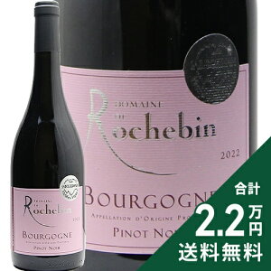 �s2.2���~�ȏ�ő��������t �u���S�[�j�� �s�m �m���[�� V.V. 2023 ���V���o�� Bourgogne Pinot Noir Vieilles Vignes Rochebin �ԃ��C�� �t�����X �u���S�[�j��