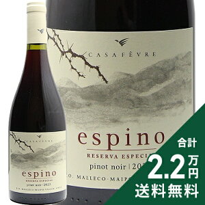 s2.2~ȏőt GXsm smm[ 2023 EBA tF[ ` Espino Pinot Noir William Fevre Chile ԃC `
