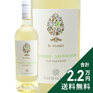 s2.2~ȏőt C v[ }@[WA \[Bj 2024 T }c@[m Il Pumo Malvasia Sauvignon San Marzano C C^A v[A