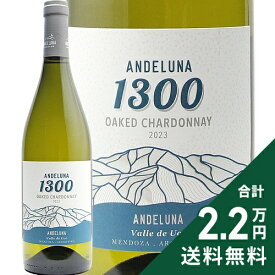 《2.2万円以上で送料無料》 アンデルーナ -1300- シャルドネ 2024 Andeluna Chardonnay 白ワイン アルゼンチン