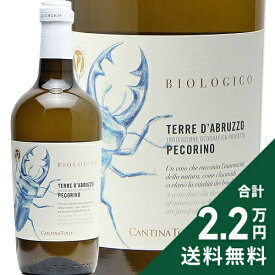 《2.2万円以上で送料無料》 カンティーナ トッロ ペコリーノ BIO インセッティ 2024 Cantina Rollo Pecorino BIO incetti 白ワイン イタリア アブルッツォ