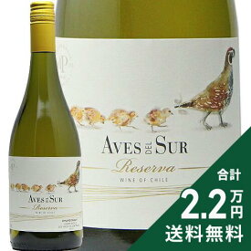 《2.2万円以上で送料無料》 デルスール シャルドネ レゼルバ 2022 Aves del Sur Chardonnay Reserva 白ワイン チリ