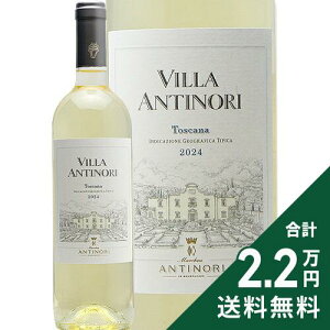 s2.2~ȏőt B AeBm rAR 2023 or 2024 Villa Antinori Bianco C C^A gXJ[i