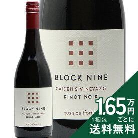 《2.2万円以上で送料無料》 ブロック ナイン ケイデンズヴィンヤード ピノ ノワール 2023 Block Nine Caiden's Vineyard Pinot Noir 赤ワイン アメリカ カリフォルニア