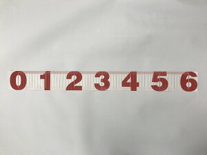  W[ V[g egnŏvB RpNgI ނ 600mm×70mm ԁ@͂