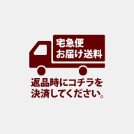 お届け送料（返品時のご負担分）