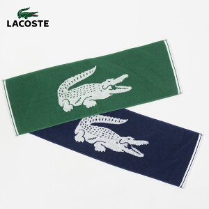 ���R�X�e �N���b�N �t�F�C�X�^�I�� LACOSTE LN007J [�l�R�|�X�z��]