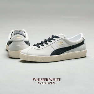 v[} NbN we[W 365886 Xj[J[