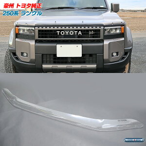 B I[XgA g^  250n hN[U[ N oOK[h {lbgveN^[ NA JX^ ی