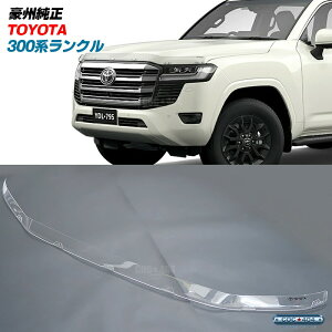 B I[XgA g^  300n hN[U[ N oOK[h {lbgveN^[ NA[ p[c JX^ ی