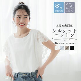 WEB限定セール★ Tシャツ レディース カットソー シルケット ドッキング 接触冷感 異素材切替 レース 半袖 ミディアム丈 無地 きれいめ メール便可 24ss coca コカ