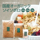 【コッチラボ】国産オーガニックソイソボロ 800g 250g 70g｜国産有機丸大豆100% 大豆ミート ミンチタイプ ｜湯戻し不要 手軽 時短｜ベジタリアン ヴィーガン 健康 ダイエット