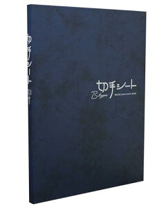 e[W[ Ao ؎V[g B^Cv B5  KB-33-02