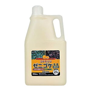 RP쏜 RP [jSPpZkt 10{ 2L 