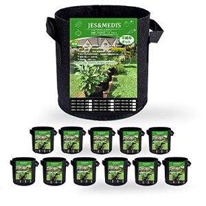 12Zbg 1K v^[ z ͔| tFg sDz|bg A K[f ʋC diy | A琬 ؍͔| e (12, 1K_15Hx18D)