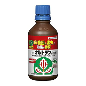 ZFw| E GFIgt 300ml Zڍs    `hNK