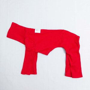 ydoggystar hbM[X^[z u C^O p[X  Ȃ  C^O  C^AO[nEh EBybg  xhgeA  t  H ~ cockerpapa RJpp yC^