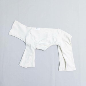 ydoggystar hbM[X^[z u C^O p[X  Ȃ  C^O  C^AO[nEh EBybg  xhgeA  t  H ~ cockerpapa RJpp yC^