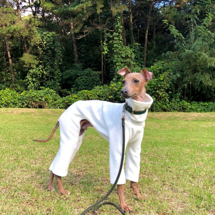 楽天市場 イタグレ 服 犬服 イタグレ 起毛ロンパース つなぎイタリアングレイハウンド イタリアン グレーハウンド ウィペット 服 ベドリントンテリア 服 犬 服 秋 冬 保温 Doggystar ドッギースター イタグレ服のコカパパ Cockerpapa コカパパ