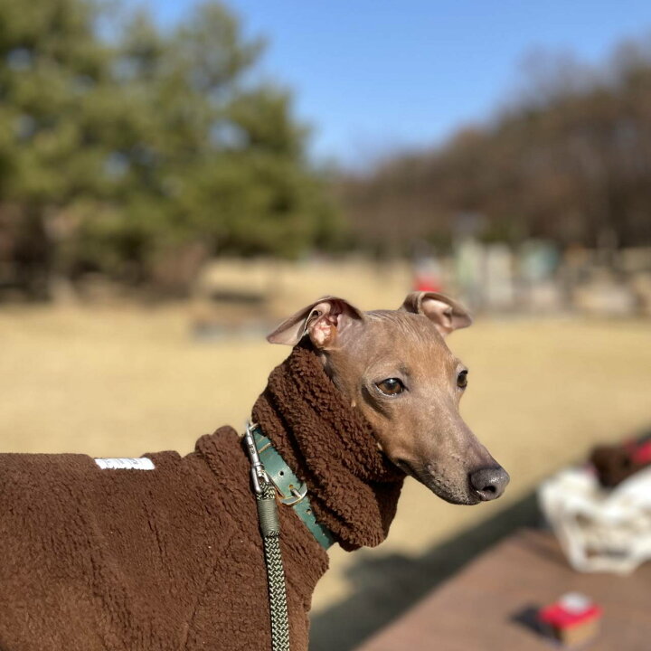 楽天市場 イタグレ ロンパース イタグレ服 犬服 イタグレ ボア フリース ロンパース つなぎ イタリアングレイハウンド イタリアン グレーハウンド ウィペット 服 ベドリントンテリア 服 犬 服 秋 冬 保温 韓国 Doggystar ドッギースター イタグレ服のコカパパ