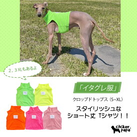 【doggystar ドッギースター】イタグレ服 セール クロップド トップス メッシュ生地 ノースリーブ 【S〜XL】【2XL】【3XL】イタリアン グレーハウンド ウィペット服 イタグレ服 【イタグレ服のコカパパ】【イタグレ服セール】【アウトレット】【イタグレ服 クールベスト】