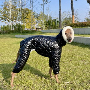 ydoggystar hbM[X^[zC^O   LeBO p[X _E R[g H~  h ^ ^ ^ C^AO[nEh xhgeA cockerpapa RJ