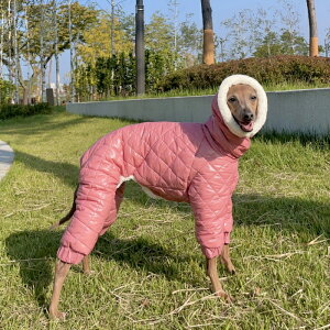 ydoggystar hbM[X^[zC^O   LeBO p[X _E H~  h ^ ^ ^ C^AO[nEh xhgeAyC^ÕRJ