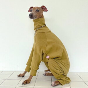 ydoggystar hbM[X^[z n p[X   C^O C^AO[nEh EBybg xhgeA t  H H ~yC^ÕRJppzyC^O