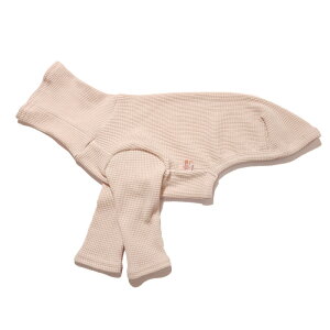 ydoggystar hbM[X^[zC^O bt  TVc  C^O C^AO[nEh C^AOCnEh EBybg  xhgeA   t  H ~ coc