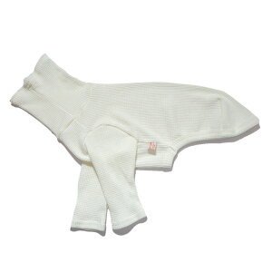 ydoggystar hbM[X^[zC^O bt  TVc  C^O C^AO[nEh C^AOCnEh EBybg  xhgeA   t  H ~ coc