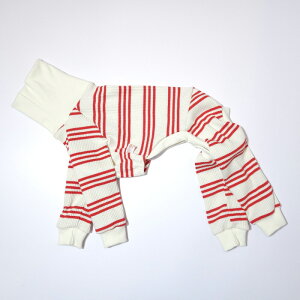 ydoggystar hbM[X^[z {[_[p[X Ȃ  C^O C^AO[nEh ^ ^ ^ EBybg  xhgeA   t  H ~ cockerpapa RJ