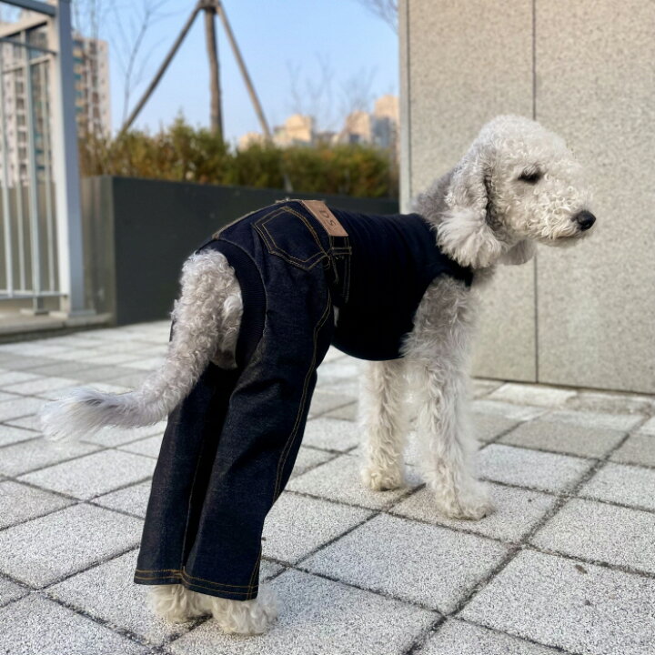 楽天市場】【doggystar ドッギースター】 デニム ロンパース つなぎ 