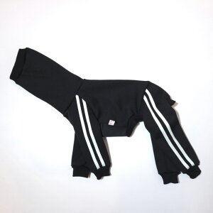 ydoggystar hbM[X^[zyV C^O  N W[W p[X Ȃ  C^AO[nEh H ~  ۉ yC^ÕRJppzC^O ~  C^AO