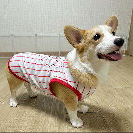 【doggystar ドッギースター】ウェルシュ コーギー 服 2XL 3XL 4XL 5XL 野球 ユニフォーム 接触冷感 クールベスト Tシャツ 無地 中型犬 大型犬 熱中症対策 春夏 コーギー おしゃれ 犬服 doggystar ドッギースター