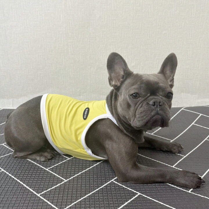 楽天市場】【doggystar ドッギースター】フレブル 服 フレンチ 