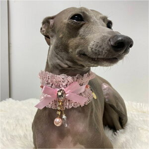 ydoggystar hbM[X^[zC^O lbNX ^ ^ tďH~ [X`[J[ C^AO[nEh ؍ ANZT[ ybgpi doggystar